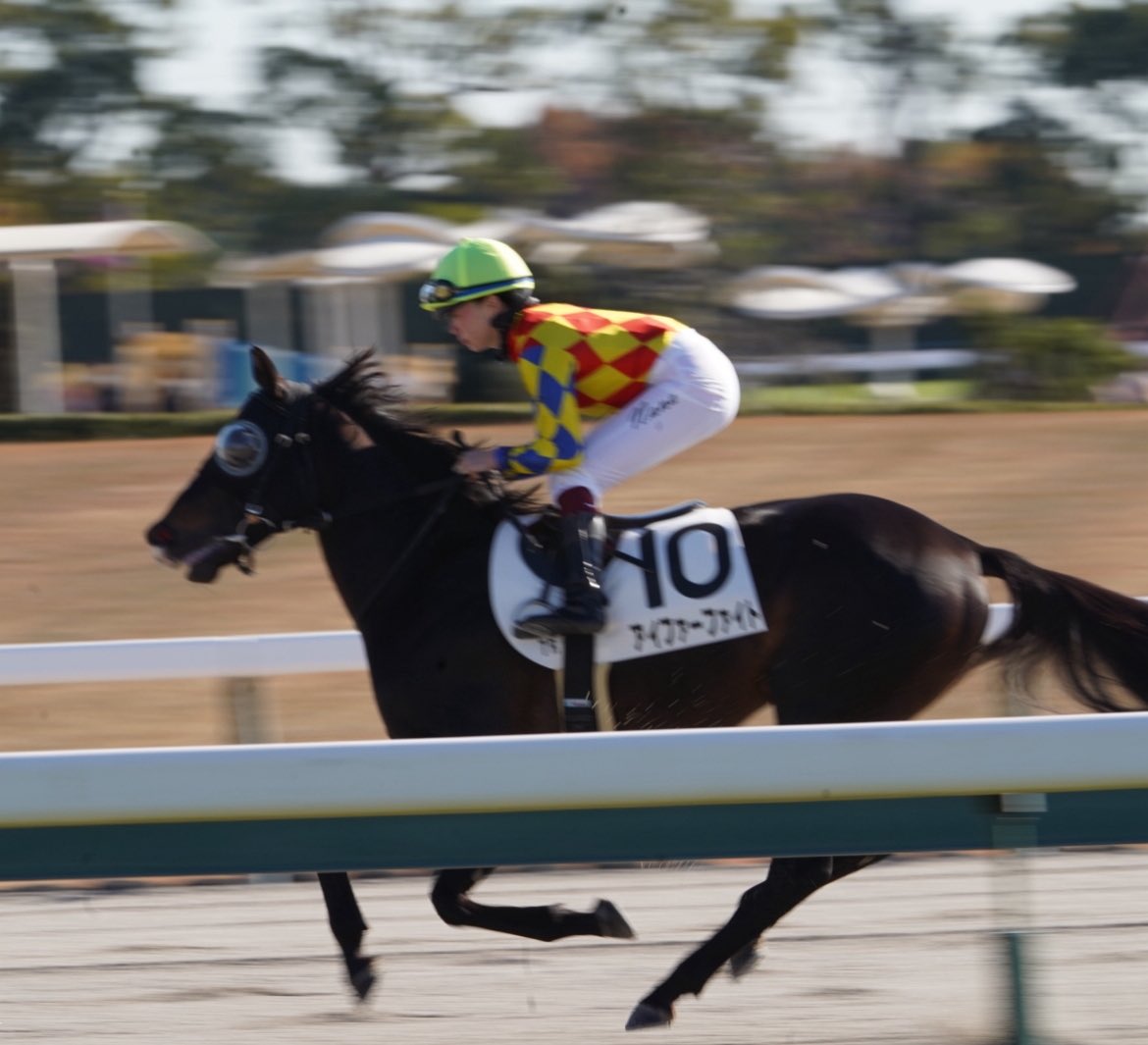 さっちん🐒 (@sachi_7744) / Posts / X