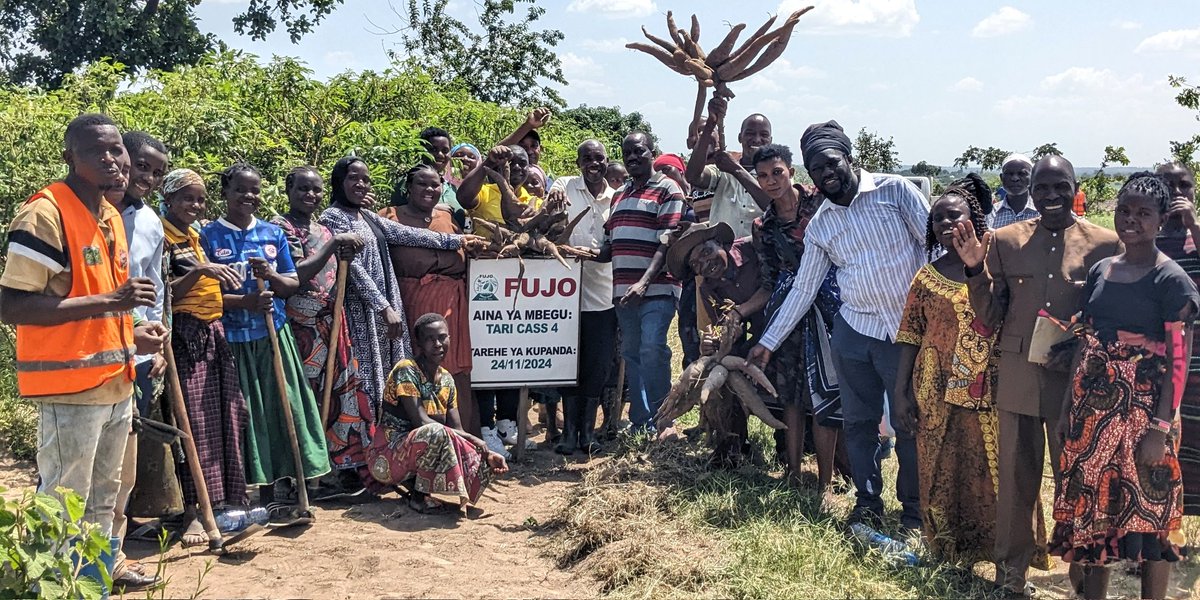 adoa_ng's tweet photo. Cassava Seed entrepreneurs completed 4days learning mission in Mwanza and Geita, facilitated by Muhogo Bora project. 
The mission strengthened association management, collective marketing, Seed propagation skills and networks with offtakers 
#Muhogobora#IITA #TARI #Seed systems https://t.co/fPcENySGsU