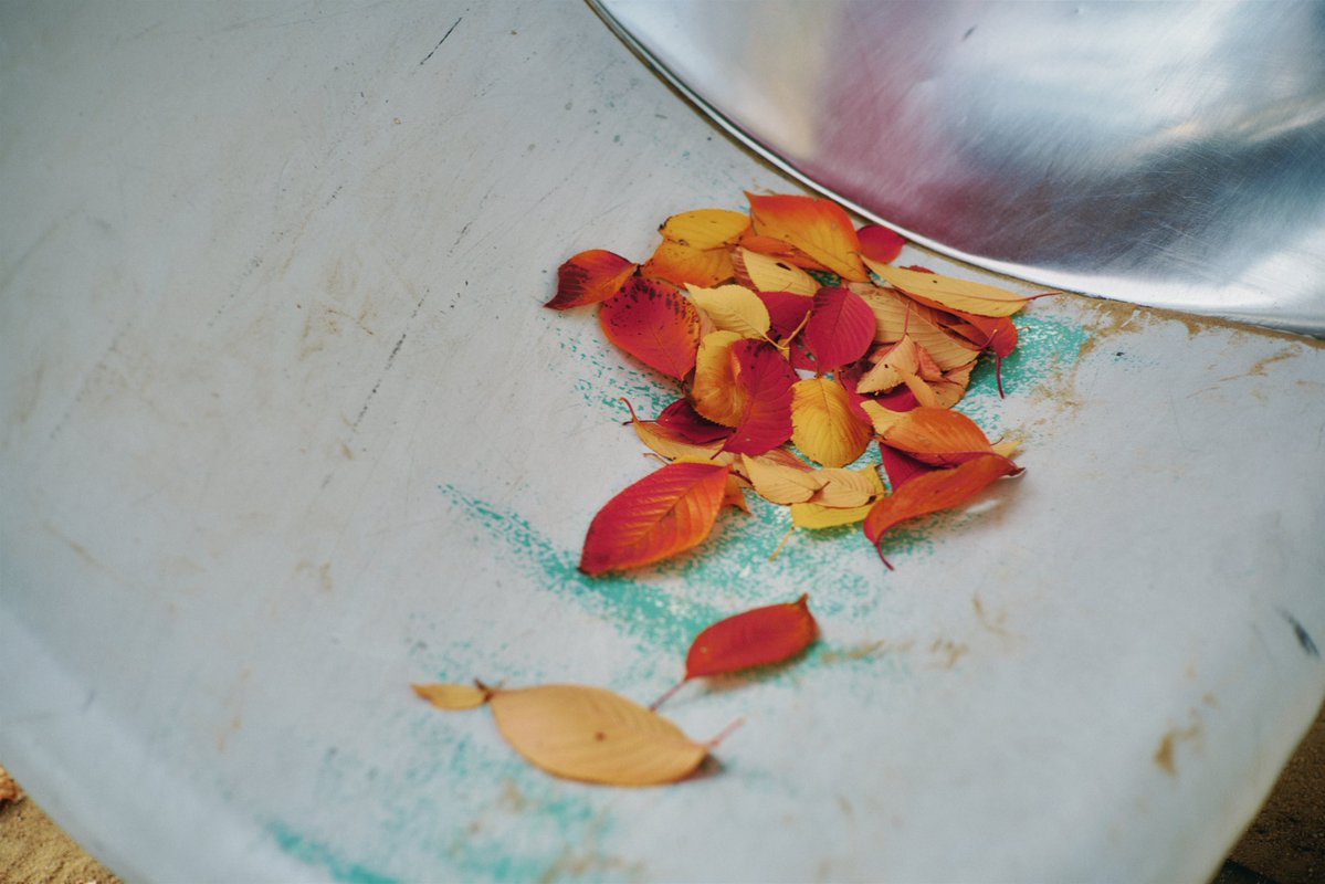 Lamp🪔 (@kebab99209873) on Twitter photo 