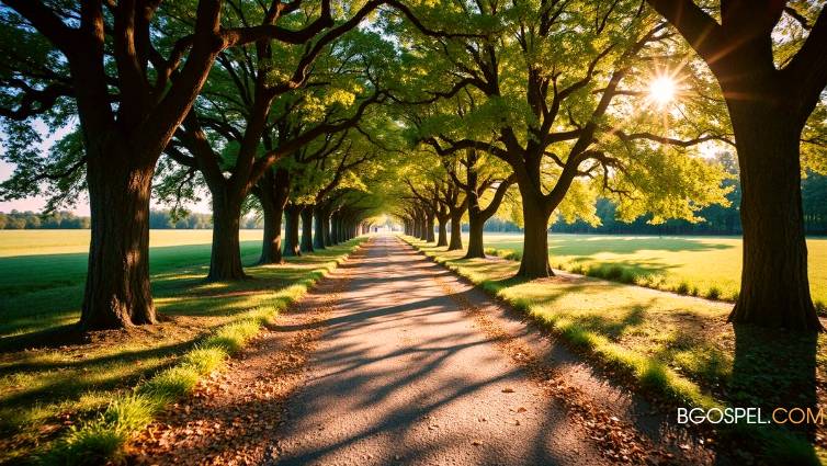 jubau's tweet image. 2 attitudes du chrétien face à ceux qui le rejette

#prédication #bible #reflexionbiblique

Votre conjoint, vos enfants, vos parents, votre belle famille, vos amis, vos collègues, votre église, peuvent vous rejeter pour une ou plusieurs raisons. Ils ne ...
bgospel.com/attitudes-du-c…