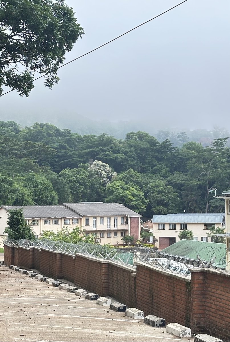 Amararam_IFS's tweet photo. Morning walk in #biodiversity park in #Zomba was an amazing experience ! It refreshed me completely ! #ZombaHills, City & plateau reminded me my #Mussoorie days! Same architecture of roads, houses and landscape ! https://t.co/VUHXc9kHZa