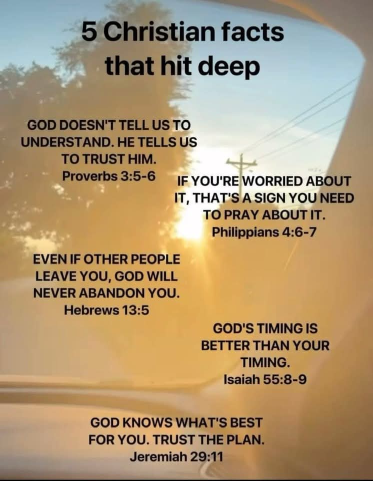 Homervillehound's tweet photo. Have a wonderful weekend everyone xoxo 😘 🤗 💕  stay safe 

#Homervillehound #lovelife #zen #peaceful #Hollywood #OlgaRoderick #art #amazing #photo #love #home #beautiful  #powerful #freespirited #American #mom #son #OneWithSpirit #Ohio  #prayers #BeKindAlways #LoveOneAnother https://t.co/wj47ytpuoI