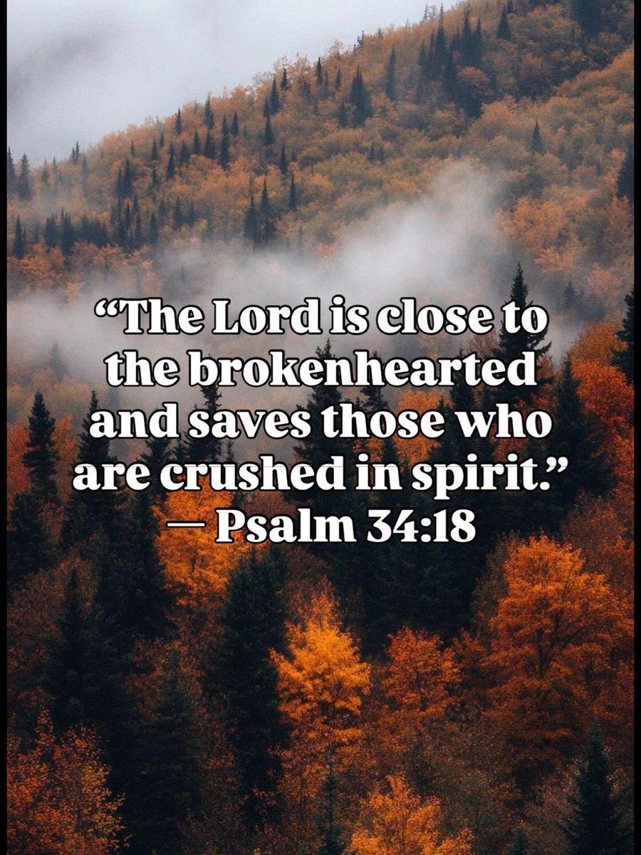 progressfitms's tweet photo. Verse of the Day
#bible #Godsword #pray #prayers #followjesus #savior #blessed #lordoflords #salvation #hope #grace #mercy #perfection #righteous #heaven
#iam #creator #Church #forgiveness #love #ourcreator #omnipotent #omnipresent #omniscient https://t.co/Z2M0JX3MWH