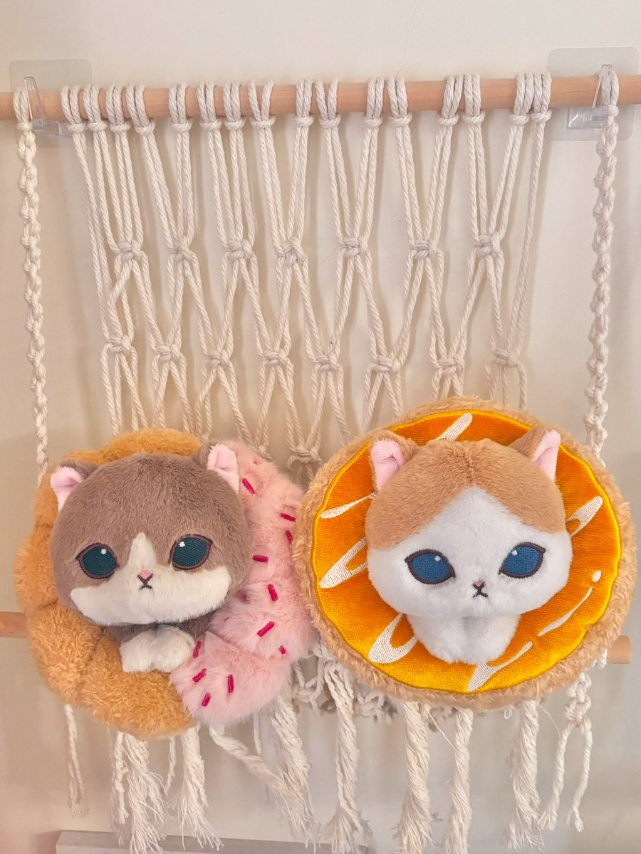 うさにゃん (@usa_nyan32) / Posts / X