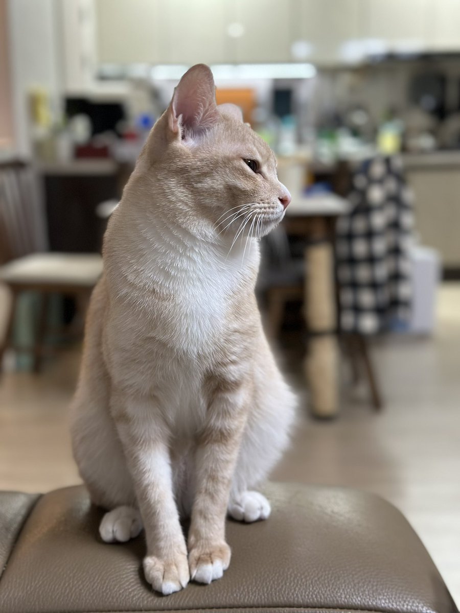 김팀장 (@8ck) on Twitter photo 