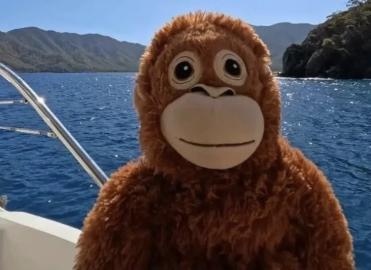 🏳️⚧️Abigail🏳️⚧️ tweet media