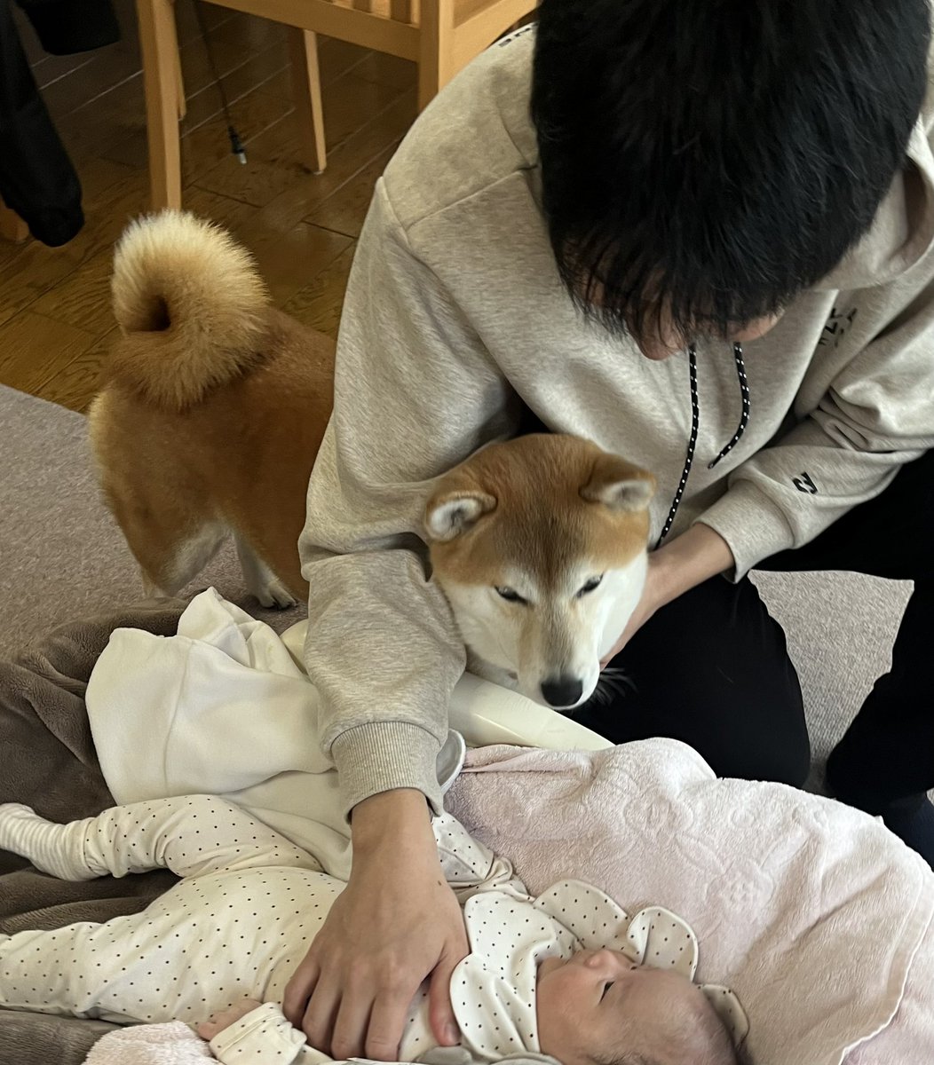 わたしのあかちゃん❣️