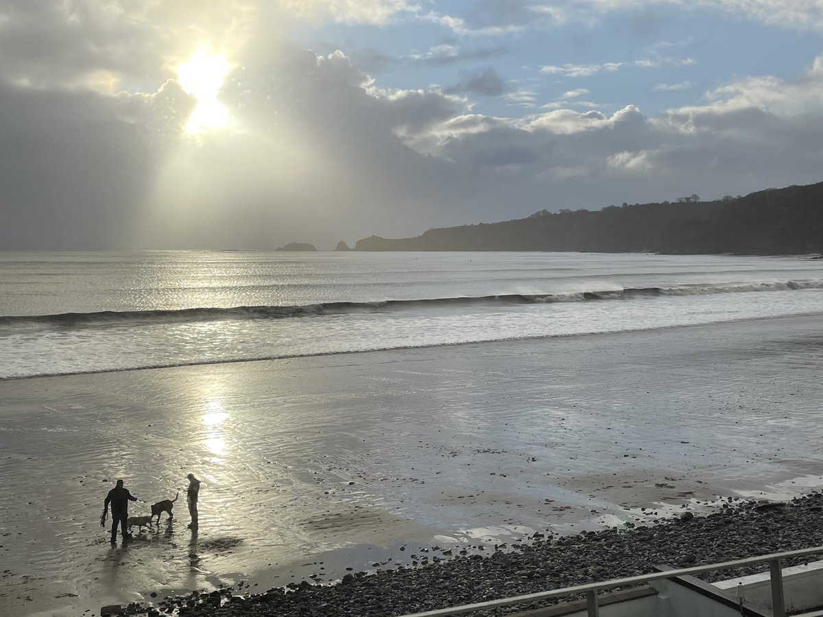 Fran Thomas tweet media