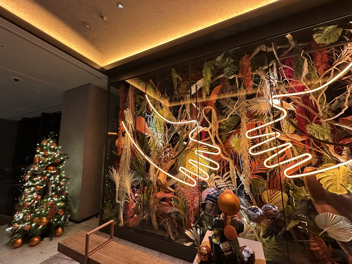 Ryu｜SuperFunded 🇯🇵 tweet media