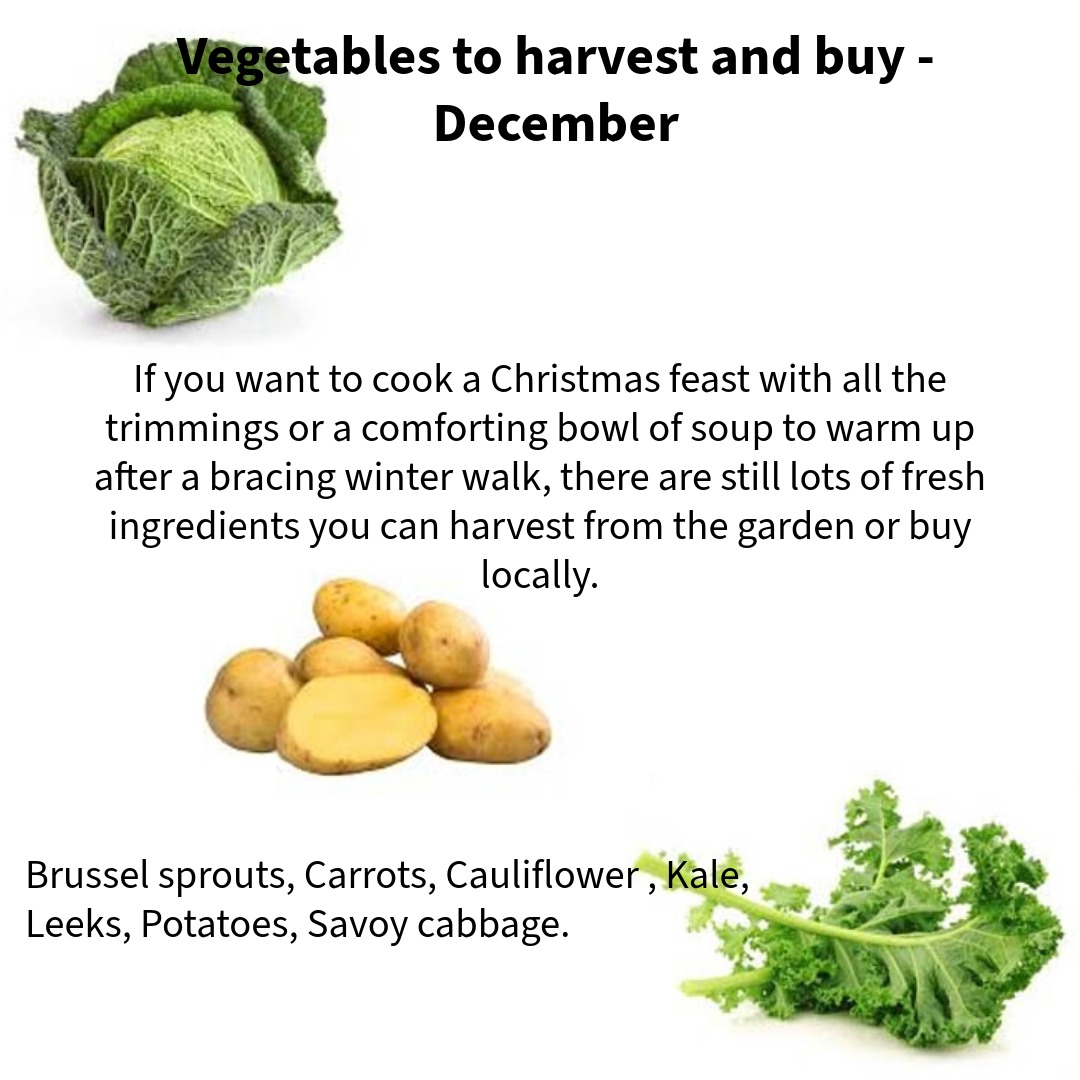 Veg to harvest and buy in December

Whether you want to cook an extravagant Christmas feast with all the trimmings or a comforting bowl of soup to warm up after a bracing winter walk, there are still lots of fresh ingredients you can harvest from the garden or buy locally.
