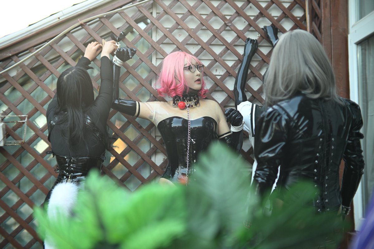 Latex- 小奶机 tweet media