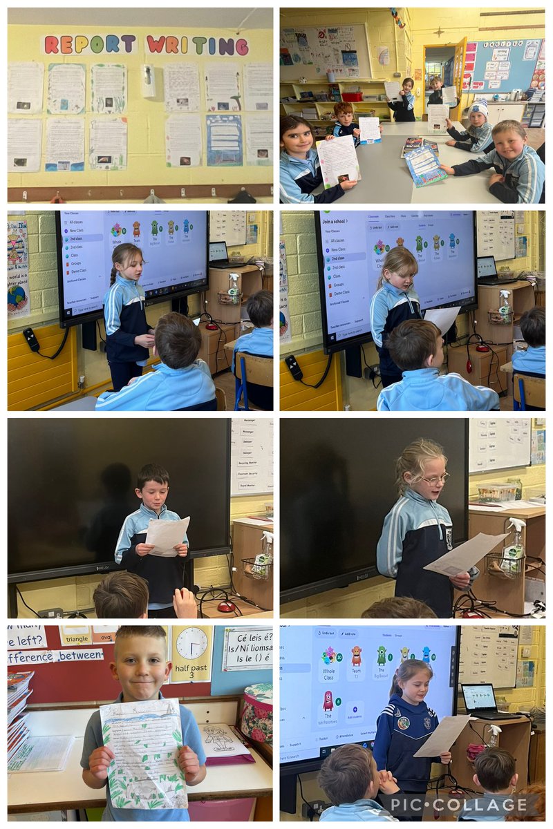kilmanaghns's tweet photo. Rang 2 have worked hard on researching, writing and presenting their own animal reports over the last couple of weeks 📝  #genrewriting https://t.co/tWnNmrwsx1