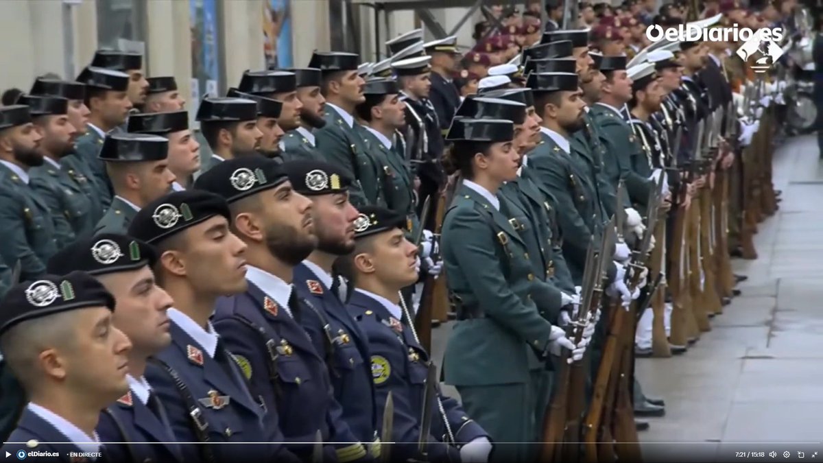 Celebrar una Constitució amb una exhibició de cossos militars. I en aquest país

Suposant que s'hagi de fer una desfilada/formació (que ja és suposar), potser hi podria haver bombers, agents forestals, sanitaris, educadors.

No duen baioneta però representen millor una democràcia