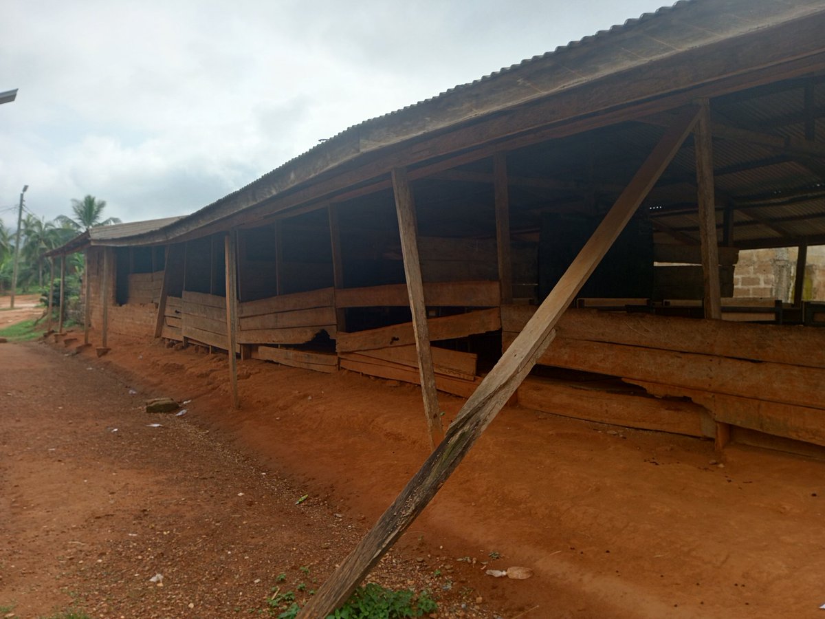 Me Fri ADASAWASE ❤️💯 tweet media