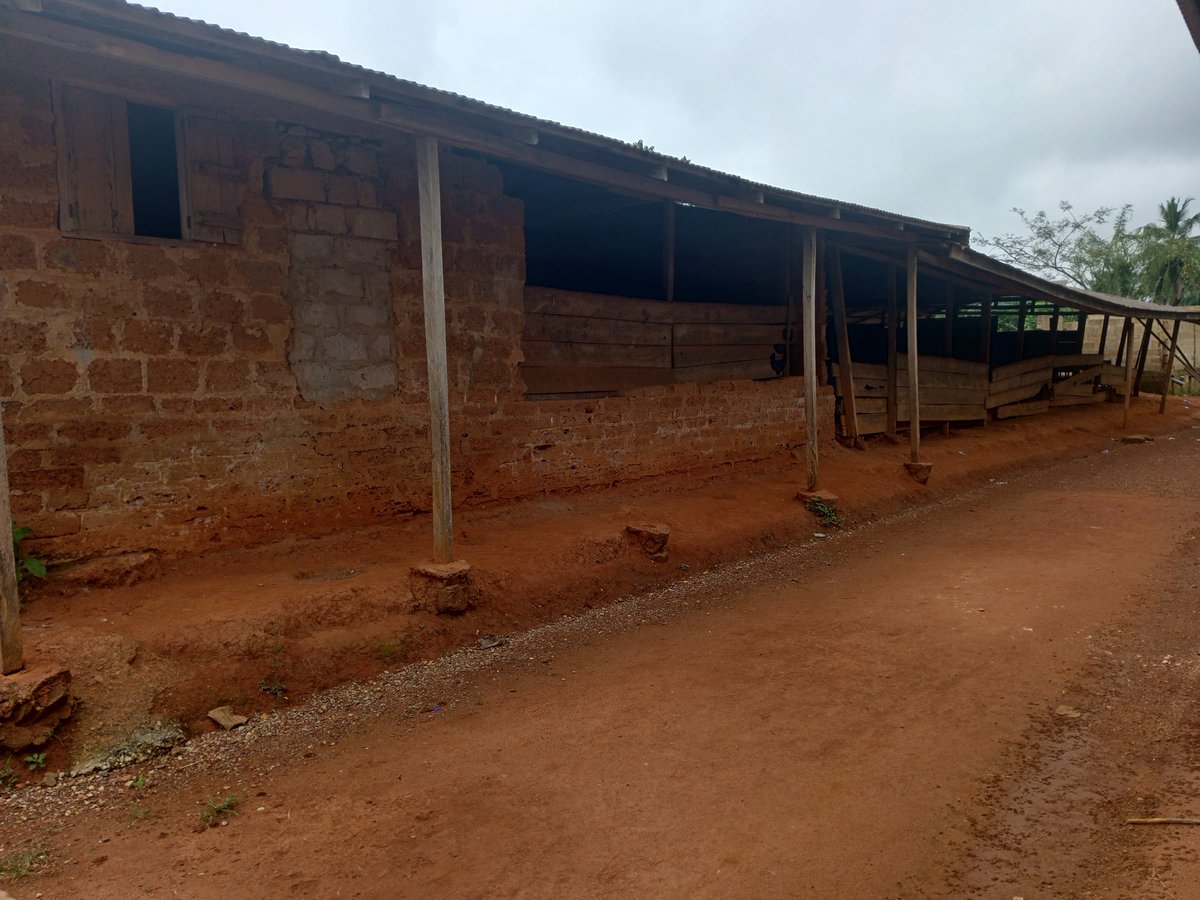 Me Fri ADASAWASE ❤️💯 tweet media