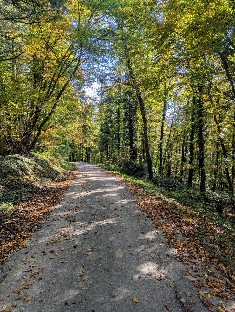 So, damit geht Foto-Followerparade Nummer 4 zu Ende. Es waren viele schöne Fotos dabei. Ich bedanke mich bei allen, die teilgenommen haben. Nummer 5 wird im April folgen.