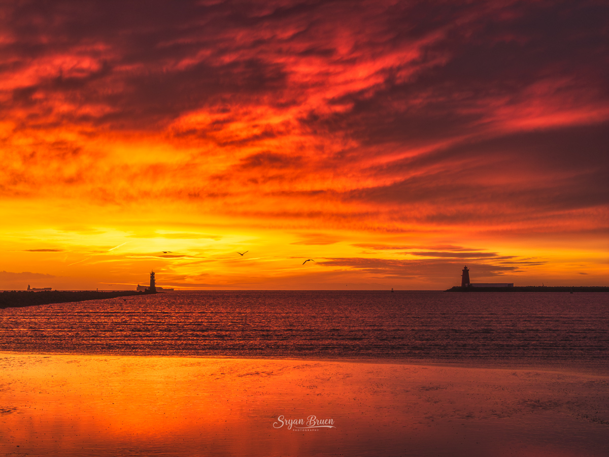 Sryan Bruen Photography tweet media