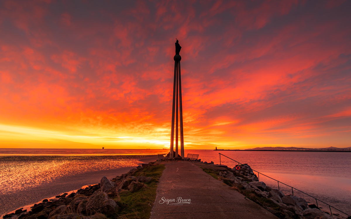 Sryan Bruen Photography tweet media