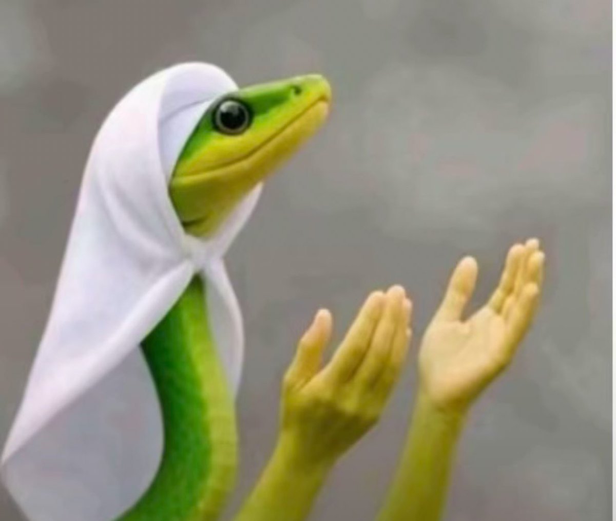 Koma abale ndipange bwanji ineyo kuti Muonele nyimbo yangayi 
ndimalakwa chani ineyo

youtu.be/lQyBz0WMFnc