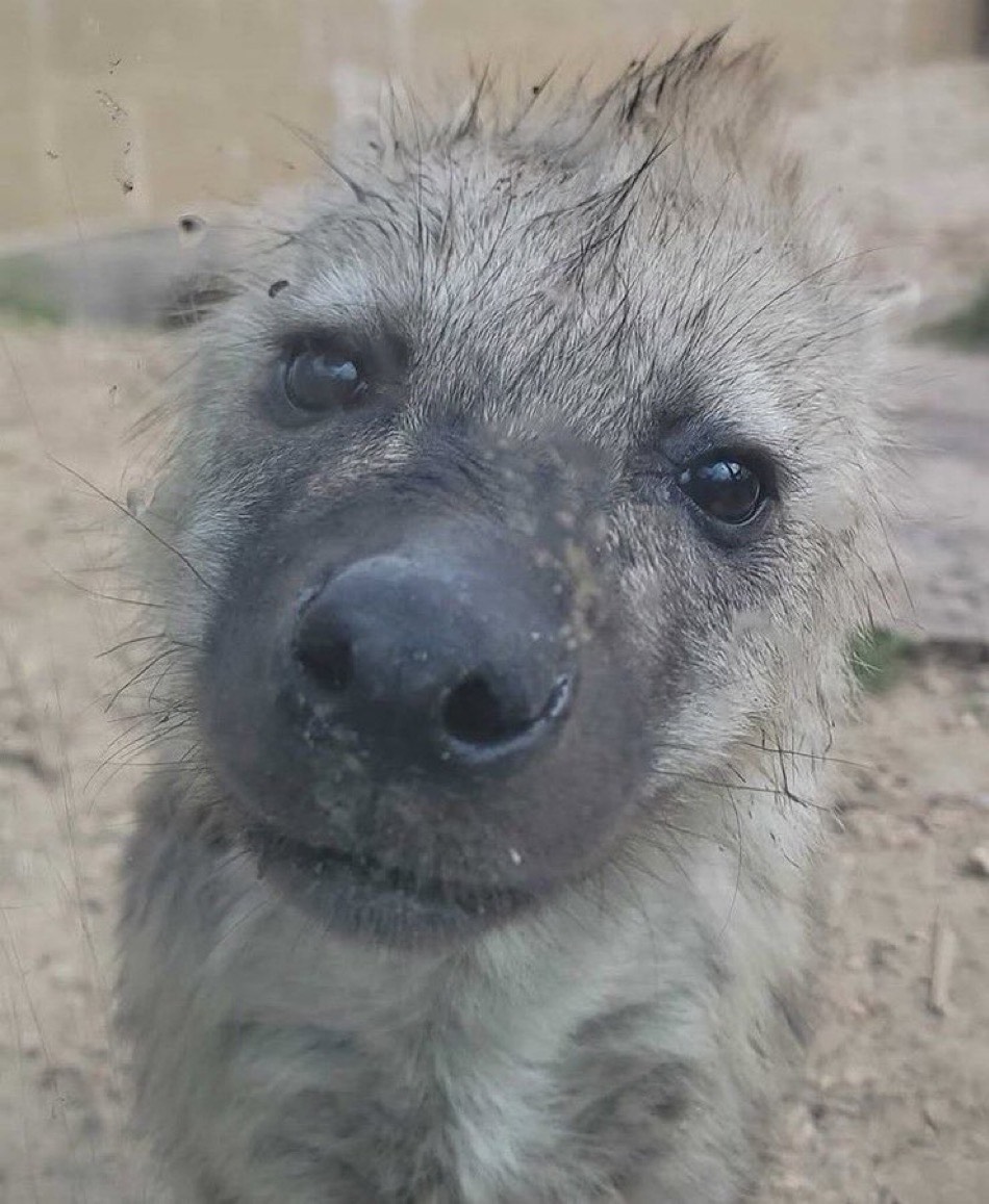 Goodmorning Everyyeen