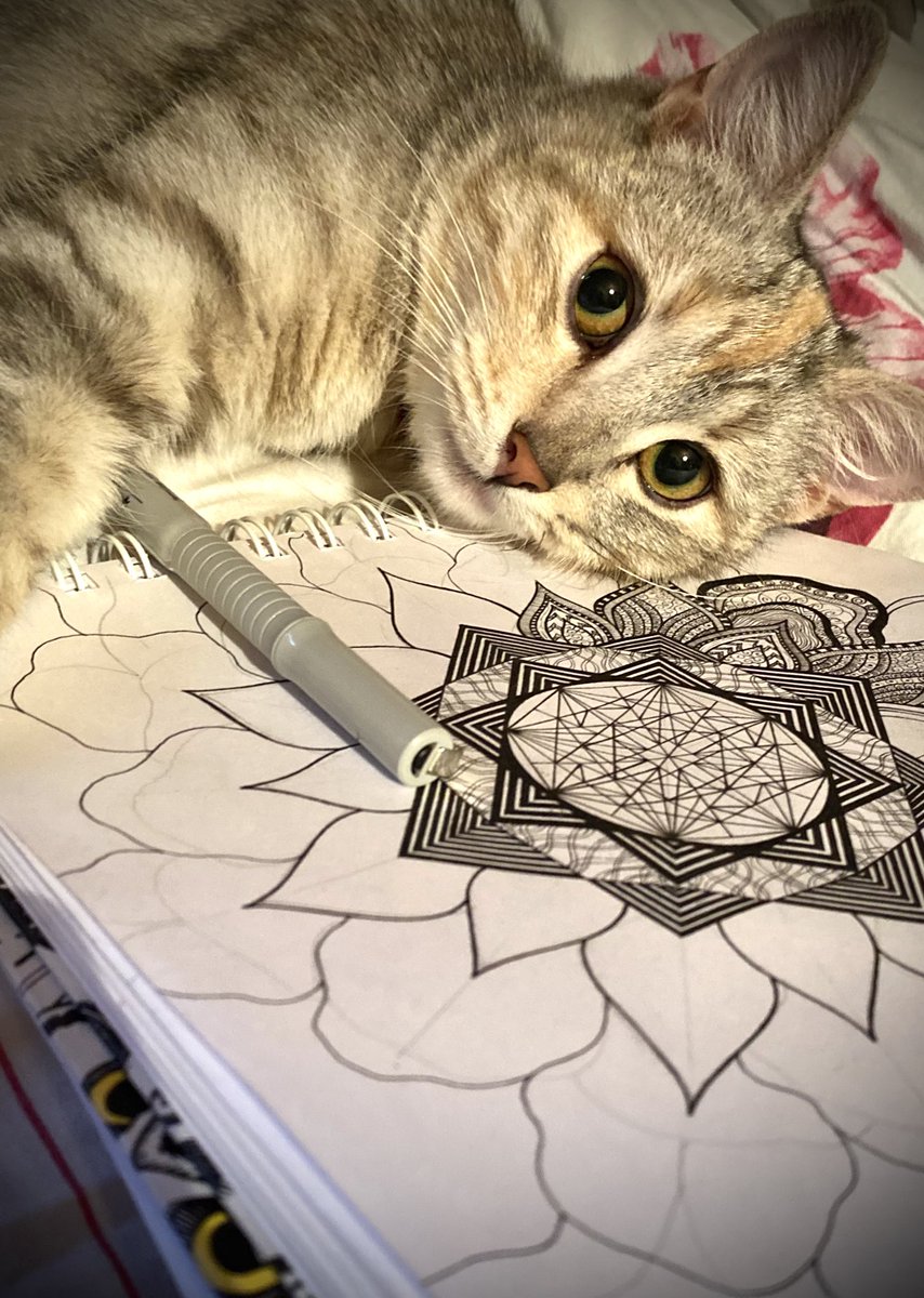 SOULPATTERNSART's tweet image. Good morning friends☺️ have a nice weekend🫰🏻
#NFTartist #art #NFTCommunity #zentangle