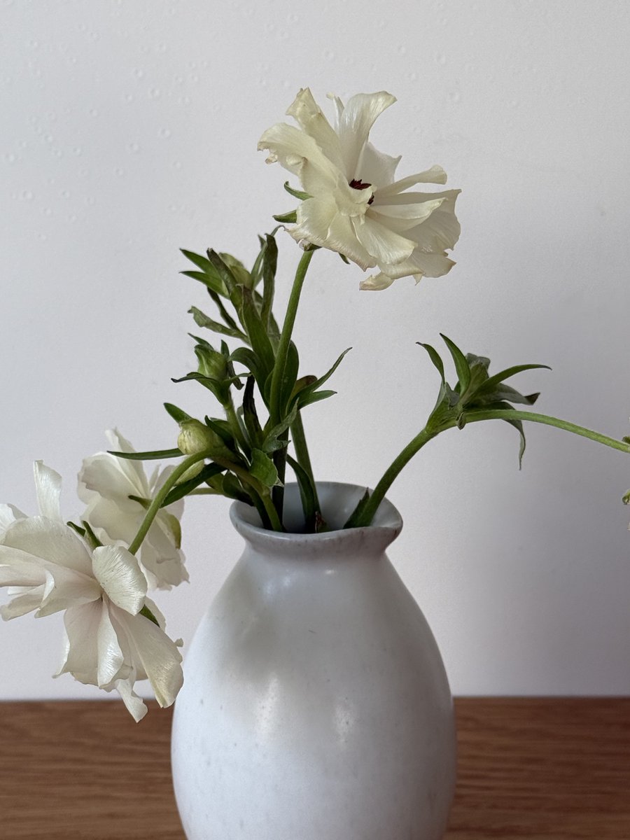 endomamesoup's tweet image. 군자에서 가장 좋아하는 카페