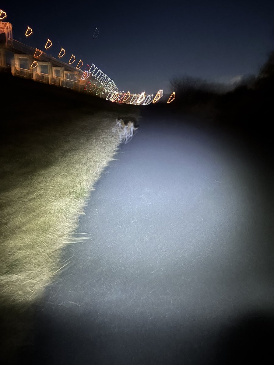 🐕目撃情報 #迷子犬 #迷い犬 #東京都 #足立区
2025.12.5 21時頃 東京都 足立区 荒川河川敷  扇大橋〜西新井橋 間
首にネームプレート - 迷子札? をつけた雑種犬 目撃されています