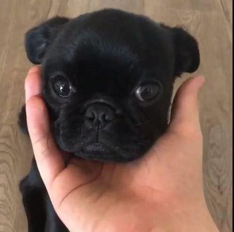 BurklowMinaHzk's tweet image. With a radiant smile, she takes on challenges at work, proving that beauty and intelligence can shine perfectly together. #WorkMode 👩‍💻