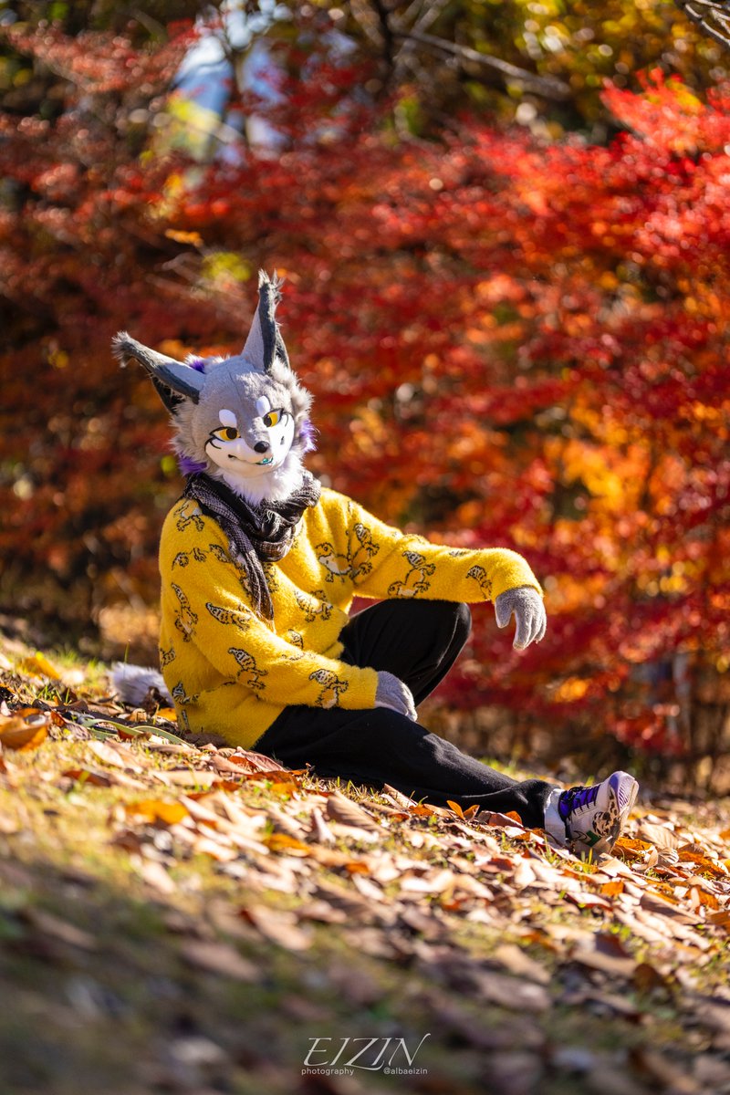 𝗞-𝗟𝗜𝗡𝗘🌌𝐉𝐌𝐨𝐅🐦‍⬛ (@Kemono_LINE) / Highlights / X