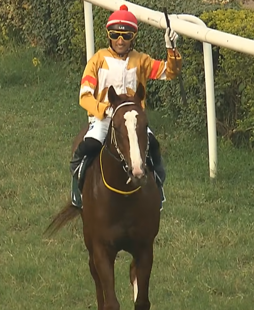 Indiarace.com tweet media