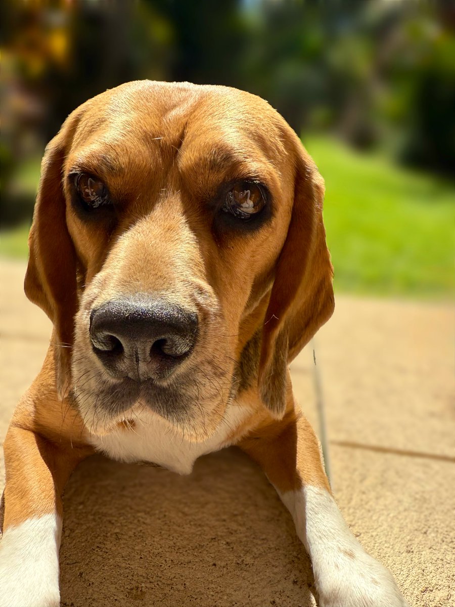 Gimme more of those blueberries Mom