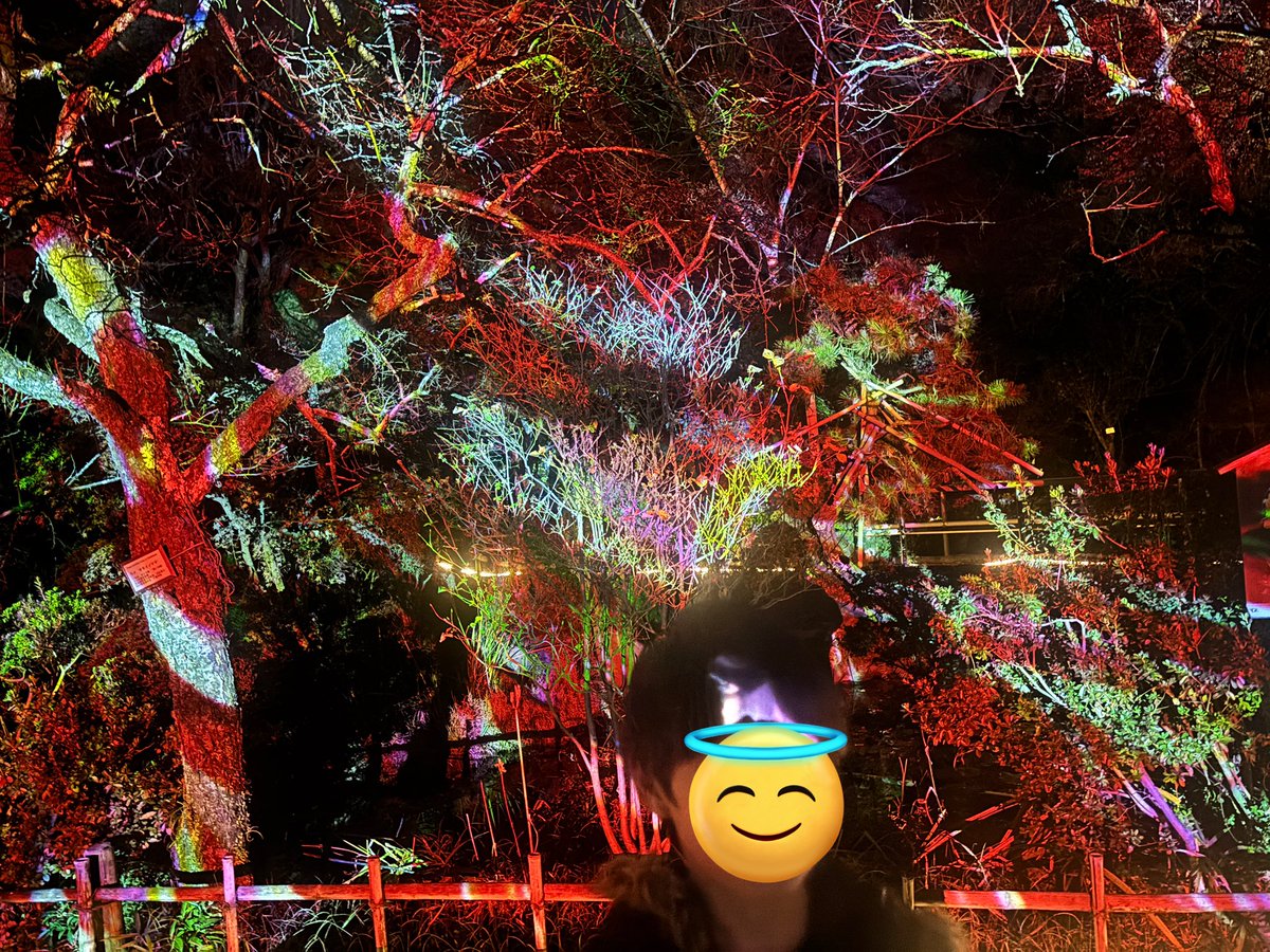 あすなろ＠インテリア・DIY・リフォーム系ライター (@eggplant0312