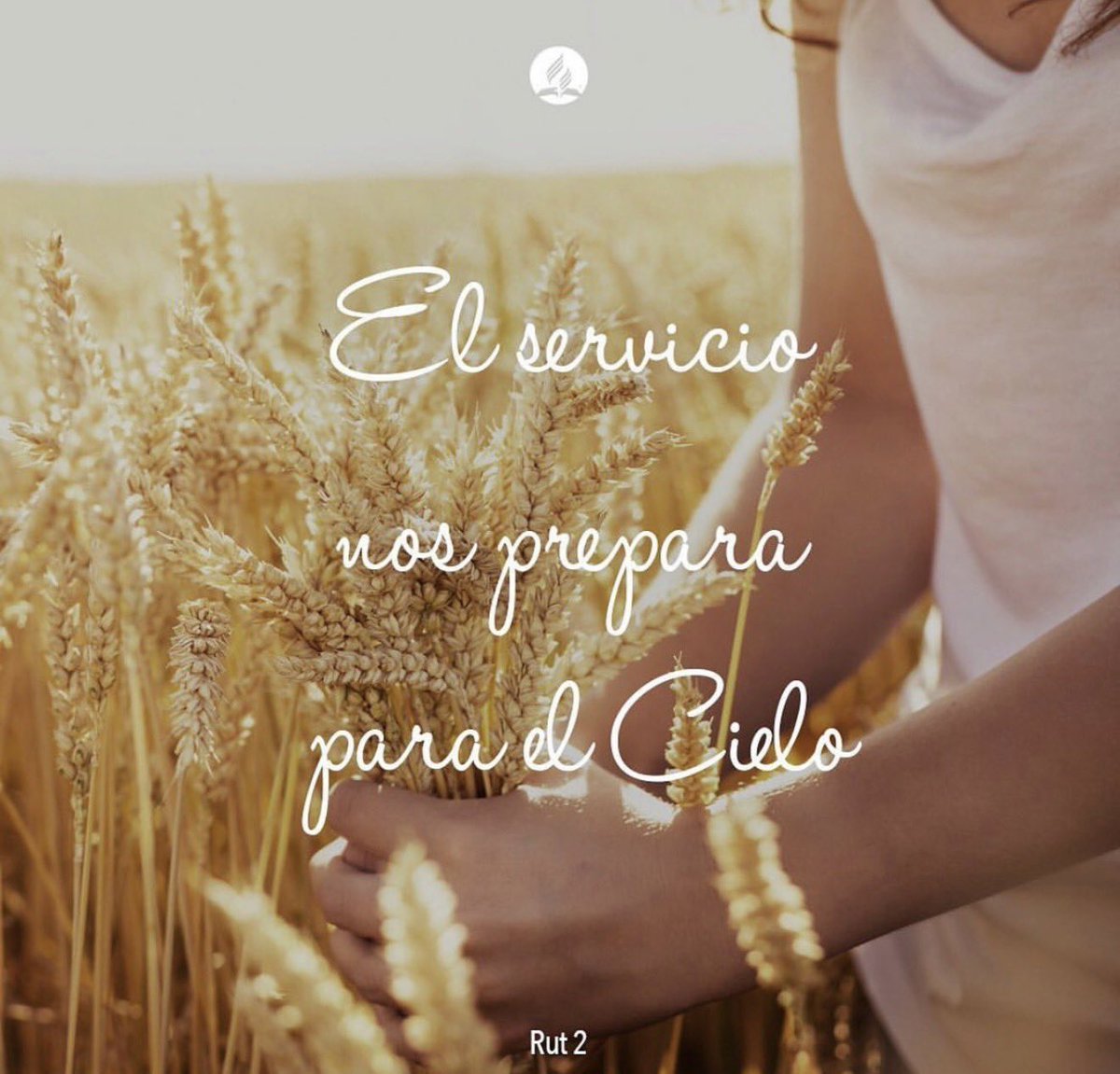 brunoraso's tweet photo. Jesús es nuestro pariente más cercano que nos rescata y redime. Confia y actúa. #Rut2 #rpSp 
👉  https://t.co/eLcO6Tqxas https://t.co/v2gRXsNtRb