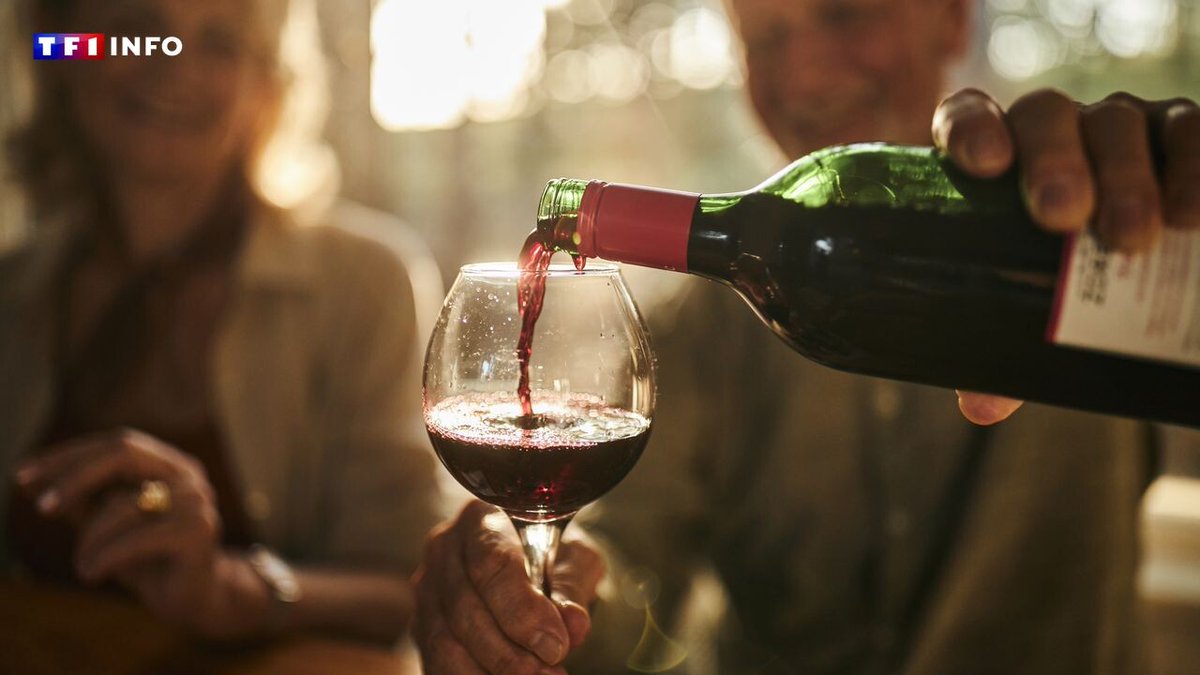 "Le risque démarre dès la première goutte" : non, boire un verre de vin par jour n'est pas bon pour la santé
➡️ l.tf1info.fr/u6E
