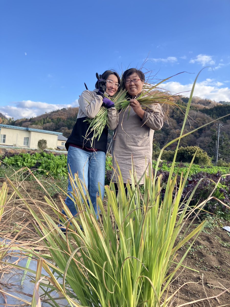 現在毎週金曜日に実施している戸棚蒸風呂の生レモングラス🌿🍋を生産して下さってる
山梨県上野原市の長田恵美子さんより素敵なクリスマスプレゼントが届きました🧑‍🎄🎄

サウナ東京の玄関口が一気に華やかに…🥹✨

恵美子さんが手塩に掛けて育てたハーブで作られているため香りも抜群😌