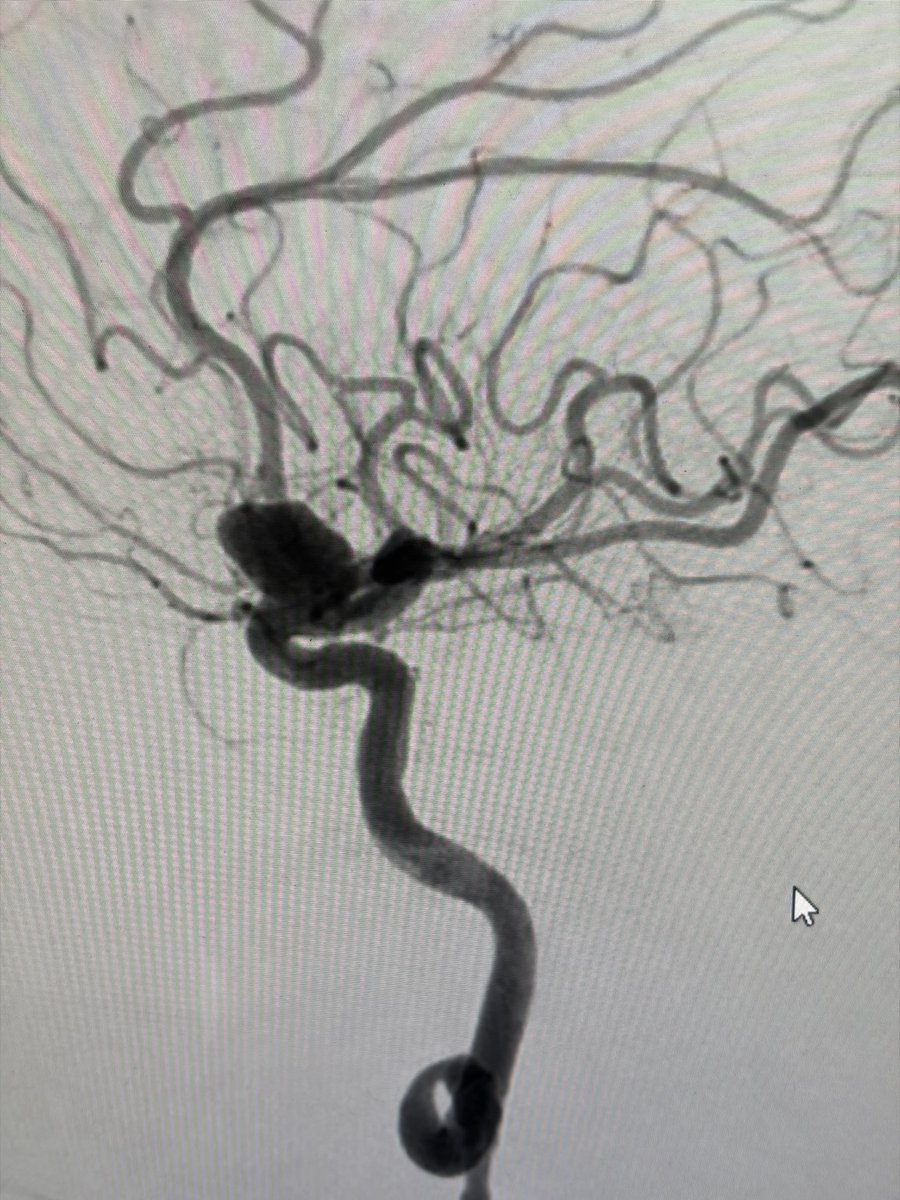 Manish Kumar Yadav tweet media