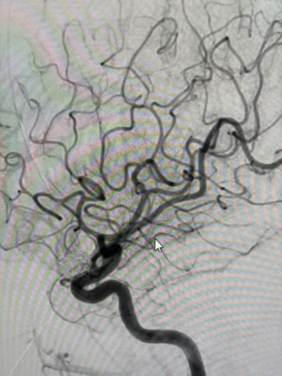 Manish Kumar Yadav tweet media