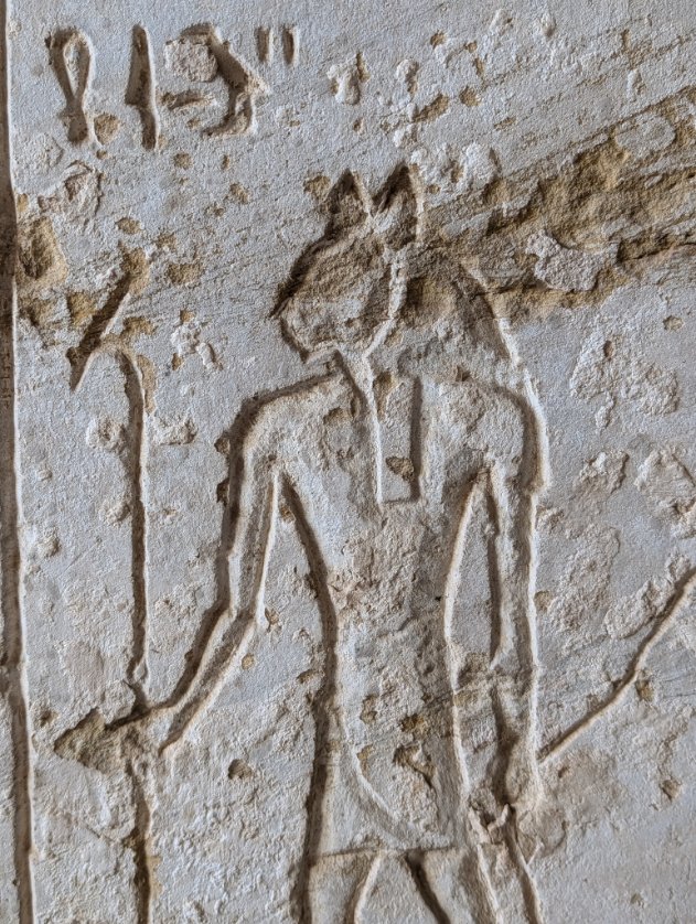 On #Caturday, a divine depiction labelled with the onomatopoeic name "Miw(.ty)" - "the (double) Cat" in the Underworld book depictions at the Osireion. Reign of Merenptah, c. 1200 BCE.

📸 by me, last week

#Egypt #Egyptology #ancientegypt #hieroglyphs