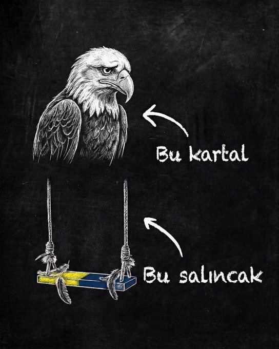 Fenerin salıncağına aldıkları çalışıyor 👏