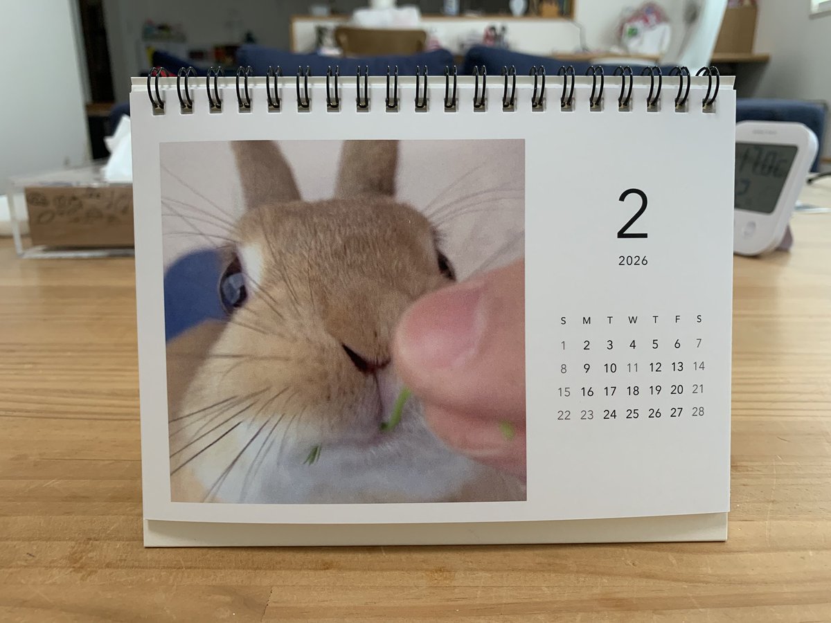 うさ男 うさ男（お） (@papanikki1) / Posts / X