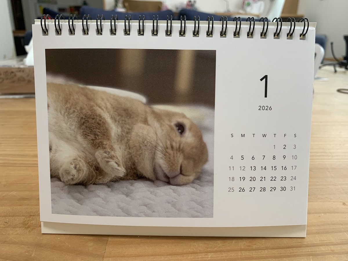 うさ男（お） (@papanikki1) / Posts / X