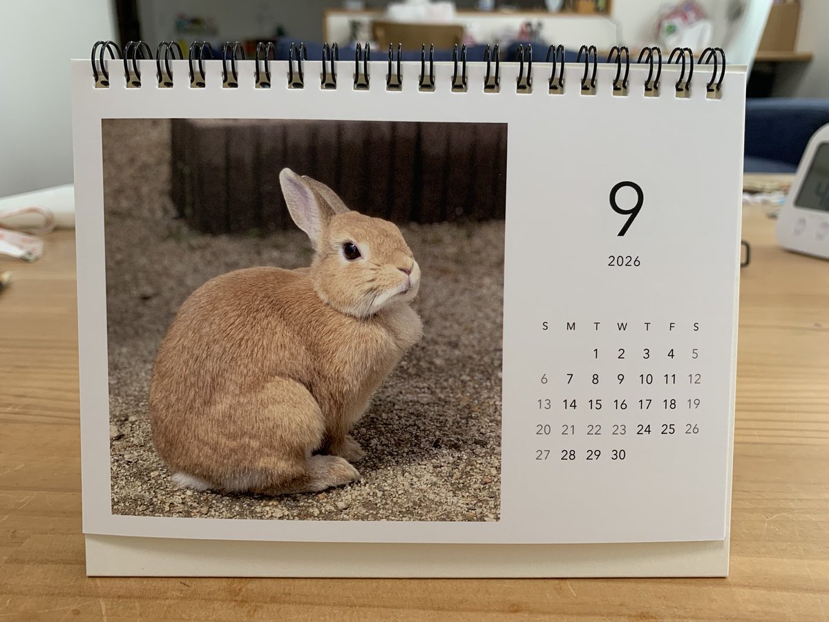 うさ男 うさ男（お） (@papanikki1) / Posts / X