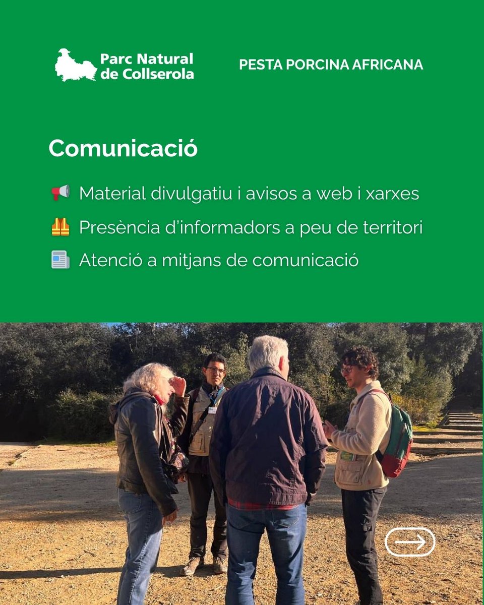 parcncollserola's tweet photo. 🚷 Recordeu: no està permès accedir al Parc Natural per a realitzar activitats esportives, de lleure o passeig de gossos.
⚠️Si detecteu un senglar mort o malalt: No us hi apropeu i  truqueu al 112.
📞 Per consultes i informació 012. https://t.co/rgXYXQThrk