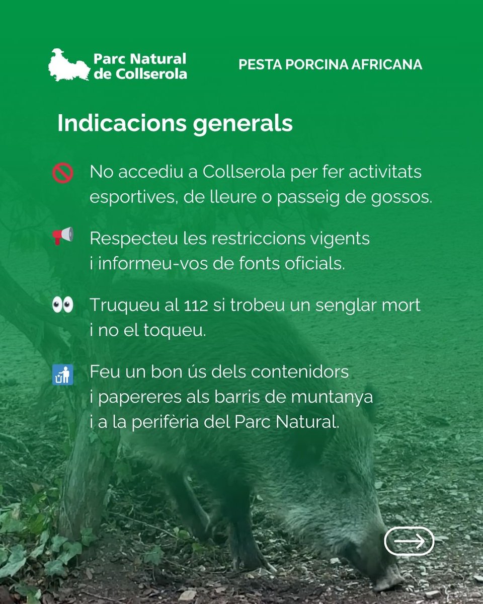 parcncollserola's tweet photo. 🚷 Recordeu: no està permès accedir al Parc Natural per a realitzar activitats esportives, de lleure o passeig de gossos.
⚠️Si detecteu un senglar mort o malalt: No us hi apropeu i  truqueu al 112.
📞 Per consultes i informació 012. https://t.co/rgXYXQThrk
