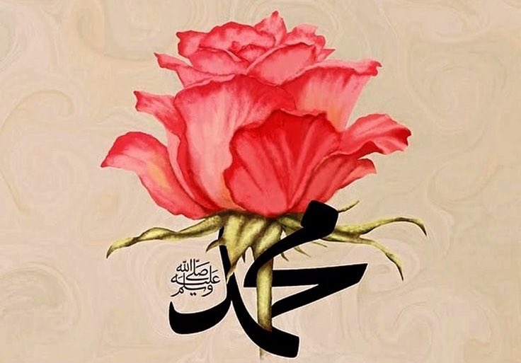 Resûlullâh, yüreğimizin gül-i şem'idir.