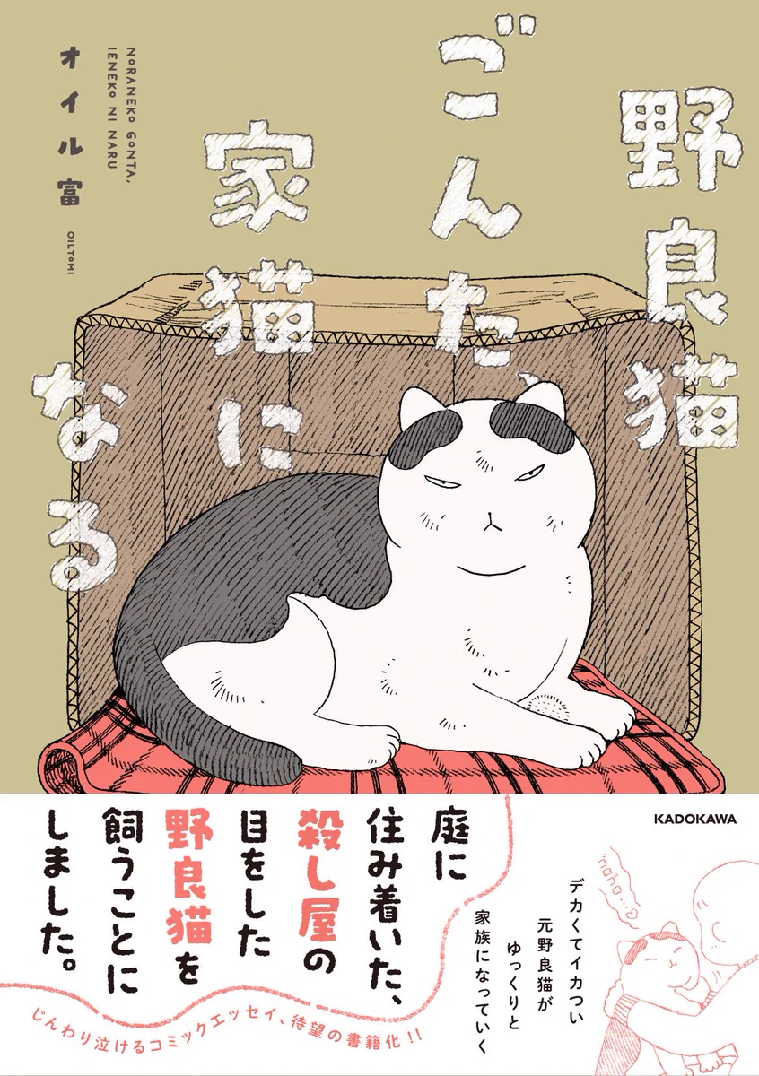 ねこさん ページ Amazon.co.jp: ねこさん こんにちは (かがくのとも