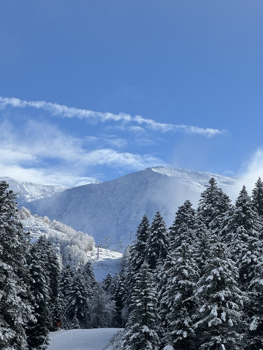 Chloé 🌸 tweet media