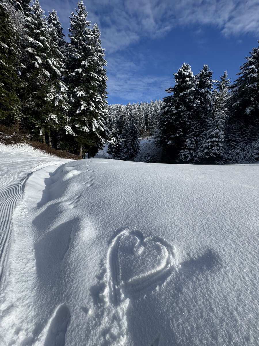 Chloé 🌸 tweet media