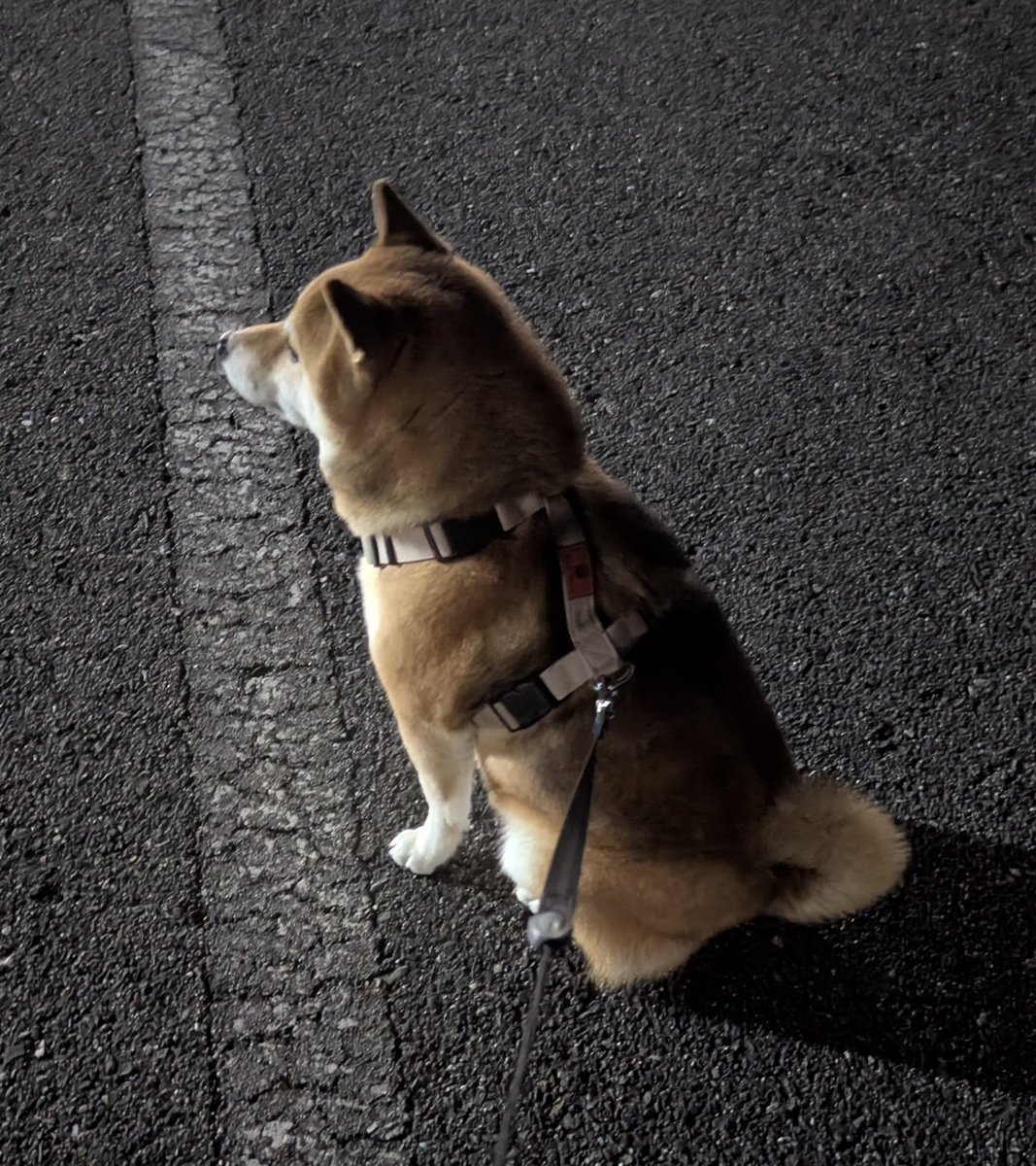 陸上部の練習を見守る。
なお、知り合いや関係者は誰もいない。