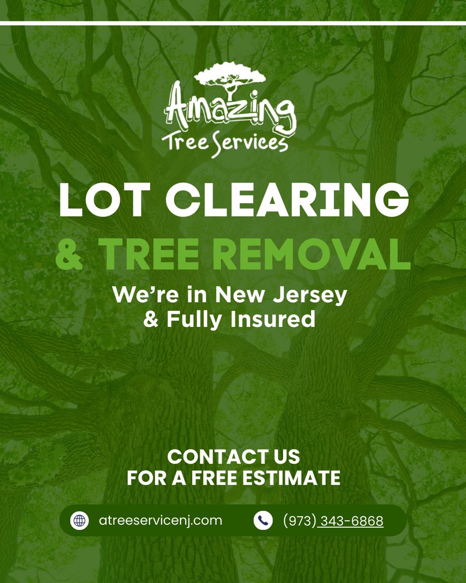 amazingtreesnj's tweet photo. Lot Clearing NJ

Amazing Tree Services delivers fast, professional clearing solutions that remove trees, brush, and unwanted growth. Learn more: https://t.co/pyvugTAR2h

#lotclearing #landclearing #njtreeservice #propertyprep #njlandwork https://t.co/T3v640cunL